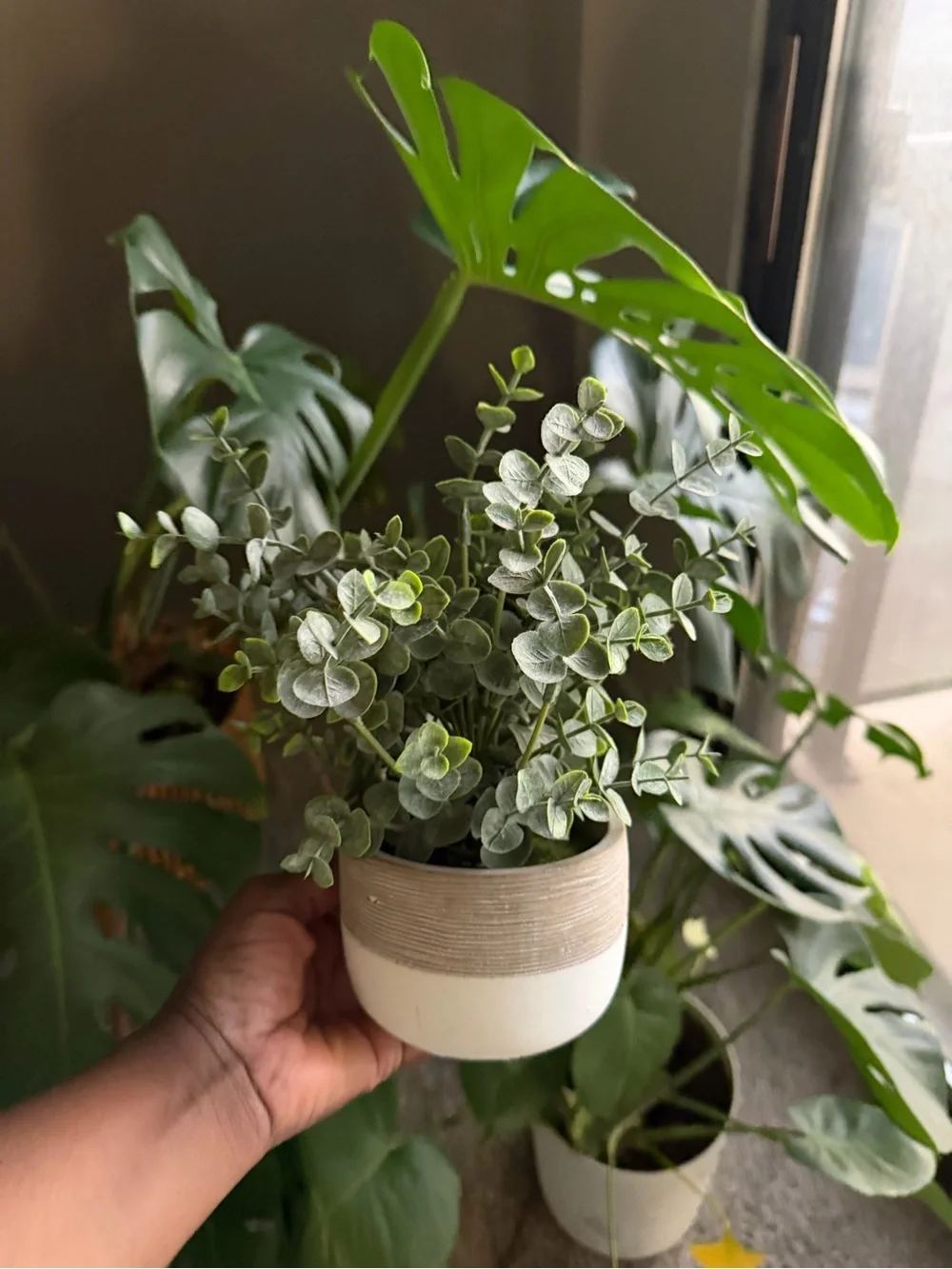 Marshalls Green Eucalyptus Faux Plant in Two-Tone Ceramic Pot